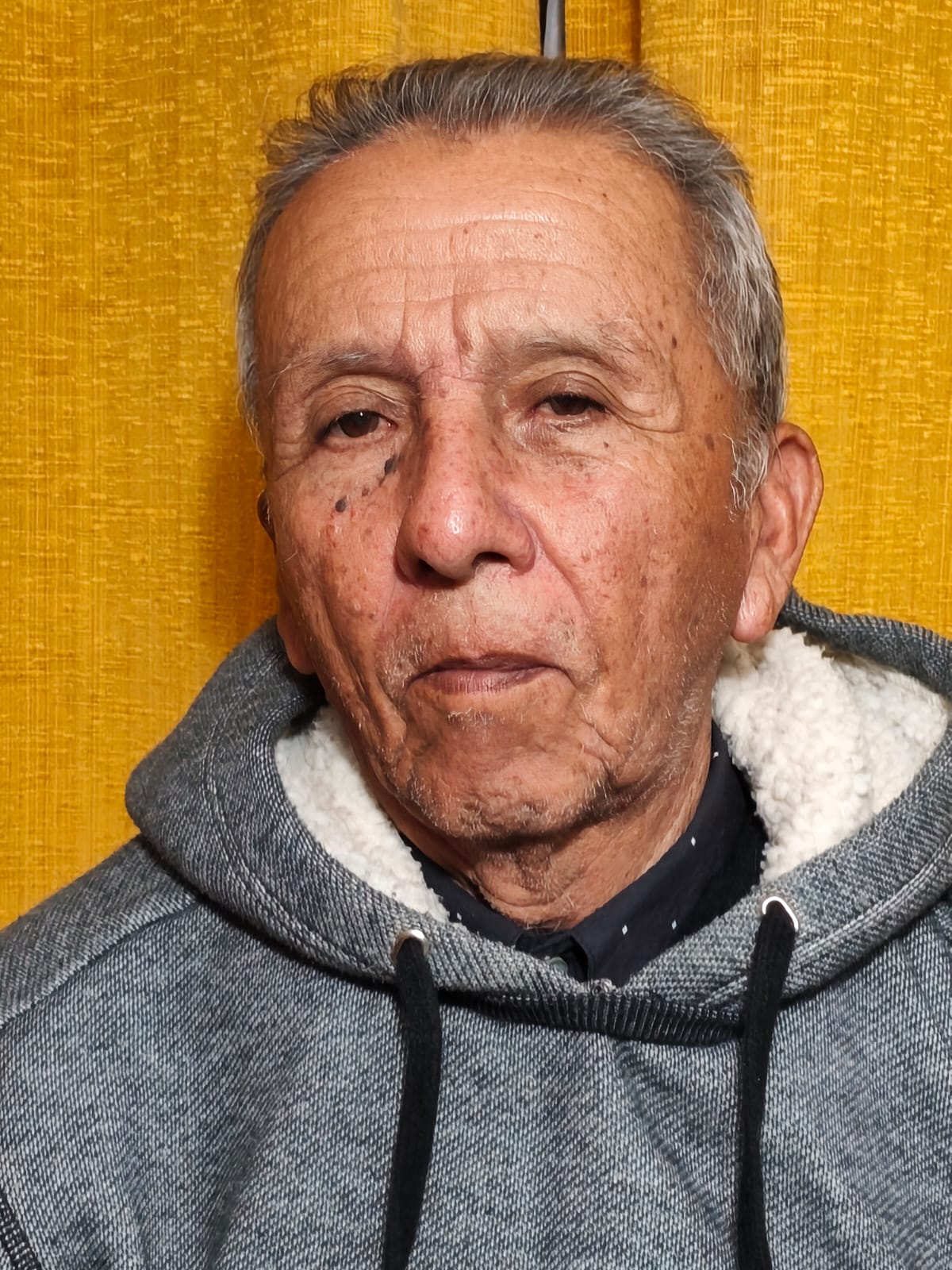 Paloma — símbolo del Espíritu Santo y la Esperanza