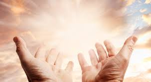 La Salvación — paloma de paz